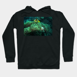 RED SEA MARINE LIFE Hoodie